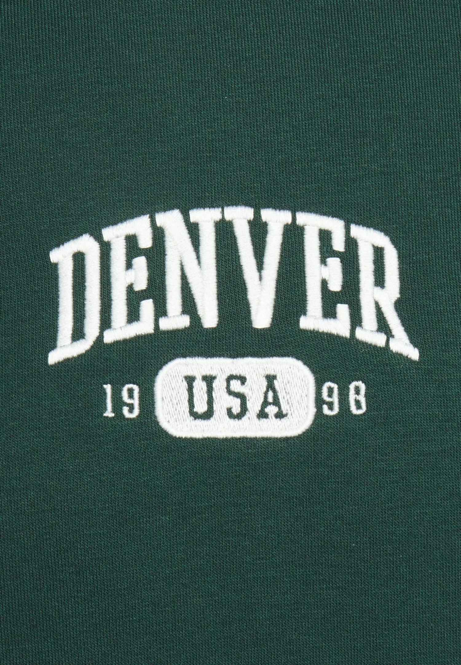Pier One Denver College Hoodie- Sweater - Green 3 Pier One Denver College Hoodie- Sweater - Green - Afbeelding 3
